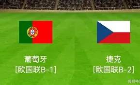 捷克队客场逆袭挫败艾尔维斯，挑战成功强势登顶的简单介绍