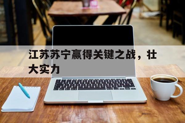 江苏苏宁赢得关键之战，壮大实力的简单介绍