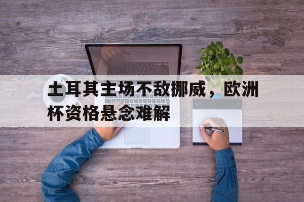 土耳其主场不敌挪威，欧洲杯资格悬念难解